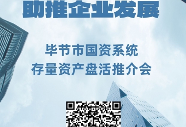 畢節(jié)市國(guó)資系統(tǒng)存量資產(chǎn)盤(pán)活推介會(huì)